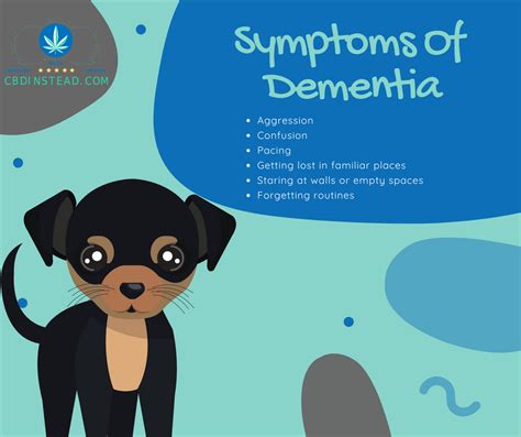 Cbd And Dementia In Dogs