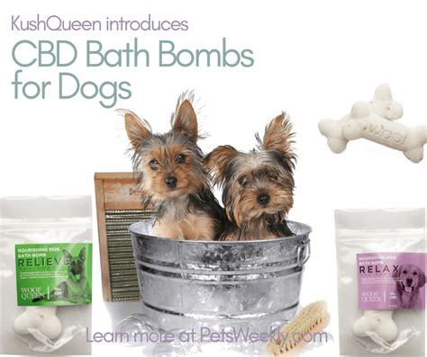 Cbd Bath Ok For Dogs