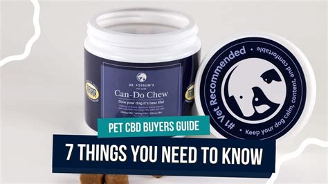 Cbd Buyers Guide For Dogs