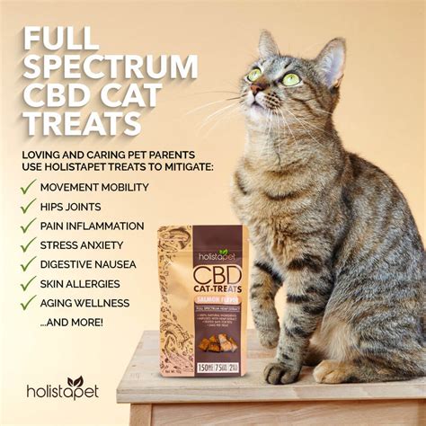 Cbd Cat Treats Benefits