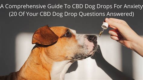 Cbd Dog Drops For Anxiety