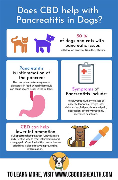 Cbd Dog Pancreatitis