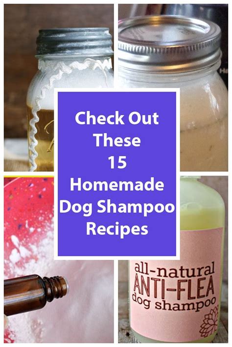 Cbd Dog Shampoo Recipe