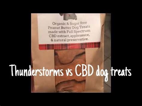 Cbd Dog Treats For Thunderstorm