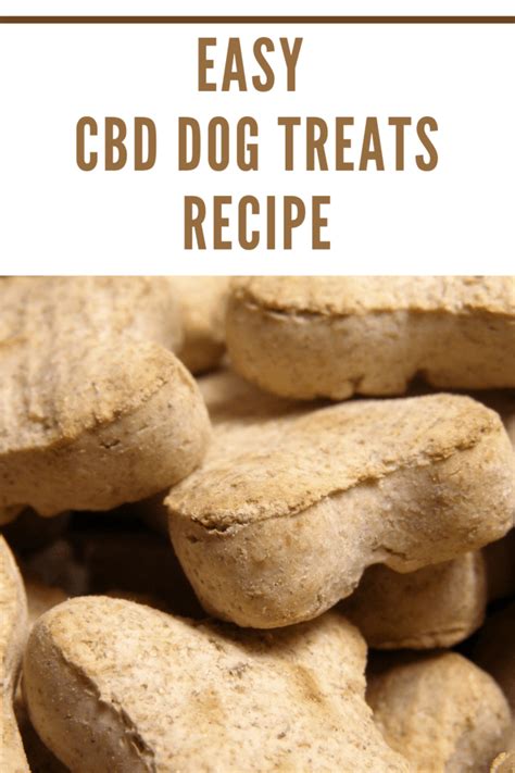 Cbd Dog Treats Recipe