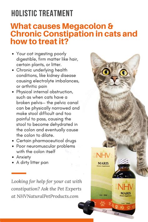 Cbd For Cat Constipation