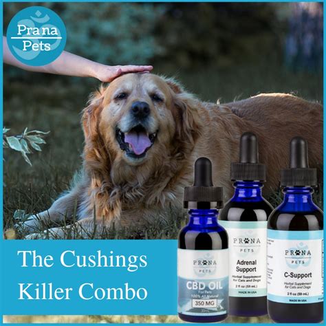 Cbd For Dogs With Cushings