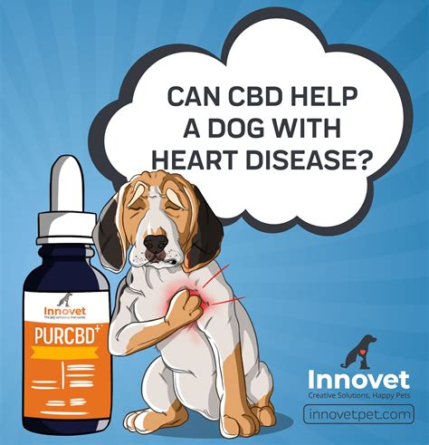 Cbd For Dogs With Heart Failure