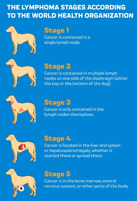 Cbd For Dogs With Lymphoma