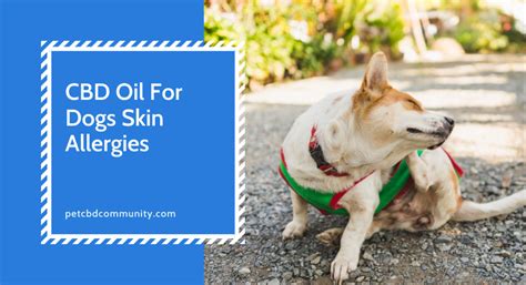 Cbd For Dogs With Skin Alergies