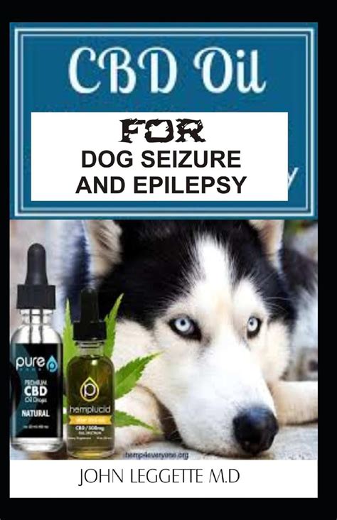 Cbd For Seizure Control In Dogs