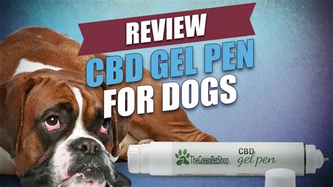 Cbd Gel Pen For Dogs