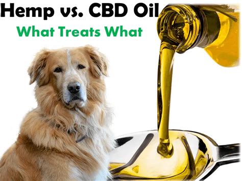Cbd Hemp Oil For People Vs Dogs