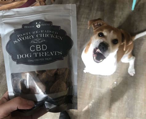 Cbd In Dogs That Eat Only Chicken