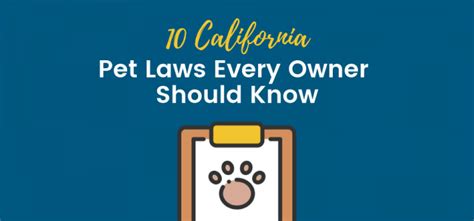 Cbd Laws For Pets California