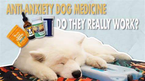 Cbd Oil And Trazodone For Dogs
