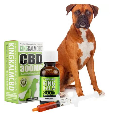 Cbd Oil Boxer Dog