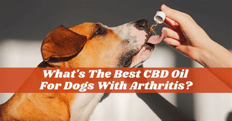 Cbd Oil Dog For Arthritis