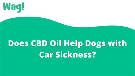Cbd Oil For Car Sickness Dogs