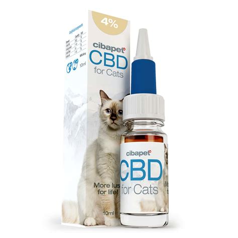 Cbd Oil For Cats Spraying