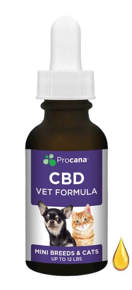 Cbd Oil For Cats With Aggression