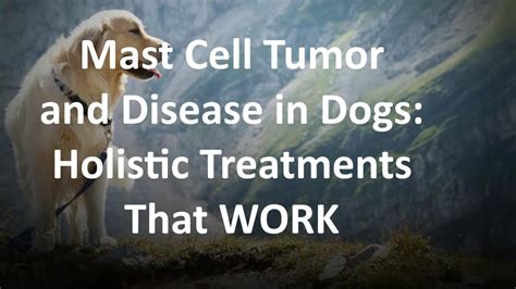 Cbd Oil For Dogs And Mast Cell Tumors