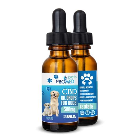 Cbd Oil For Dogs From Healthy Certified Products