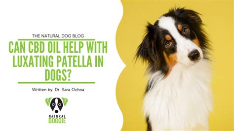 Cbd Oil For Dogs With Luxating Patella