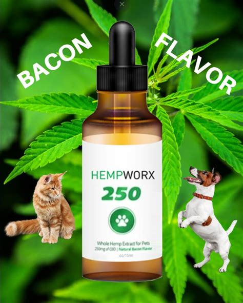 Cbd Oil For Dogs- Bacon Flavored