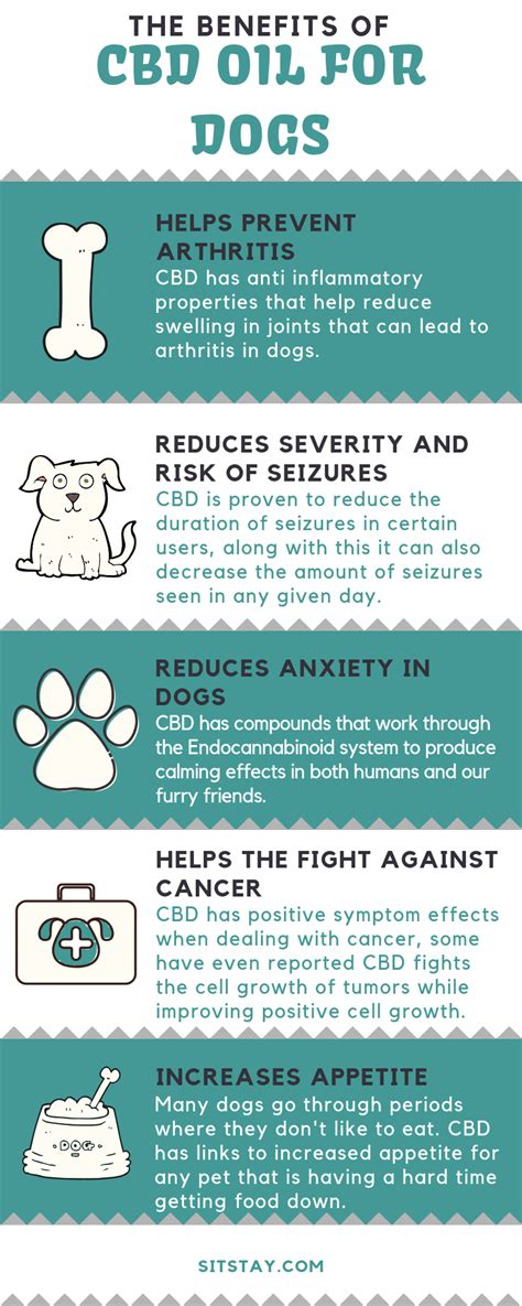 Cbd Toxic For Dogs