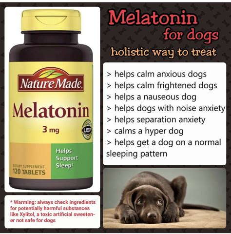 Cbd Vs Melatonin For Dogs