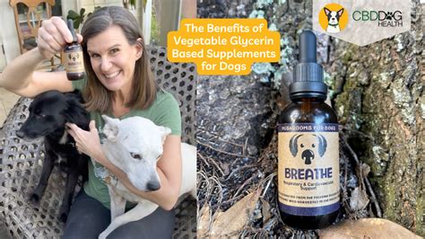 Cbd With Vegetable Glycerine Recipe For Dogs
