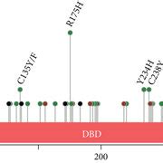 Cbioportal lollipop plot.  The video below is an indicative recording of a cB...