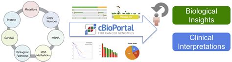 Cbioportal lollipop plot.  cBioPortal provides a user-friendly interface ...