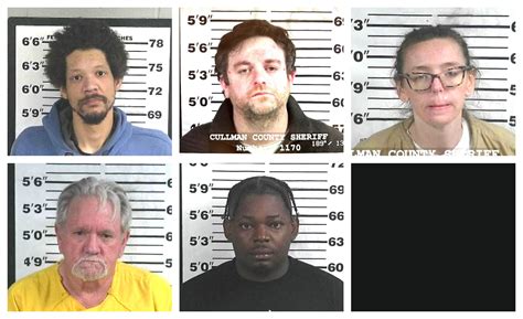 Ccso local arrests