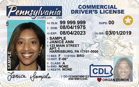 Cdl driver license cost. The cost of attending a CDL training program in Pennsylvania varies depending on the school you attend and the type of CDL license and endorsements you hope to receive, but generally costs between $4,000-$7,000. 