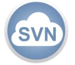 Cdsvn Onlyfans Leak (SEX) 🍆