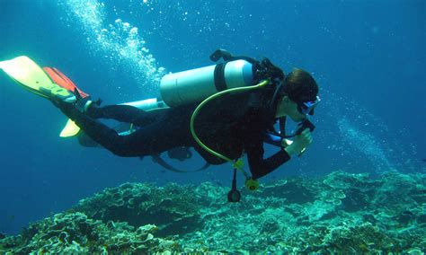 Cebu Diving Underwater Asia