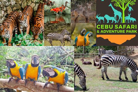 Cebu Safari and Adventure Park - expedia.com.ph