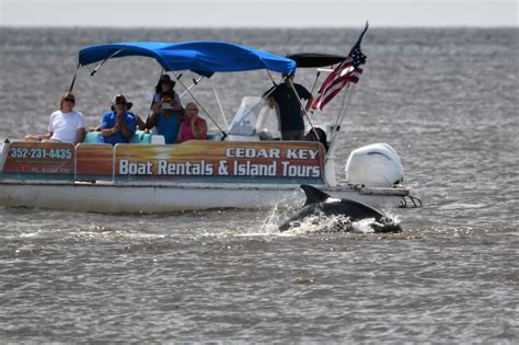 Cedar Key Boat Rentals and Island Tours - Natural North Florida