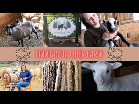 Cedar View Farm - YouTube