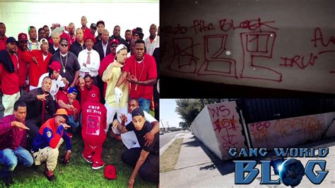 Cedar Block Piru is a rival gang. There have been multiple shootings between the two gangs resulting in murders of members of both gangs. Mob Piru gang...detective in Compton, where he patrolled the streets, documented the activities of the city's gangs, and investigated crimes committed by Mob Piru.. 