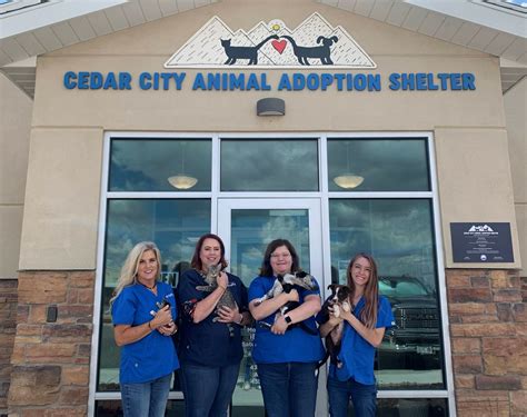 Cedar city veterinarian. 533 North Airport Road Cedar City, UT 84720 t: (435) 586-3400 Also serving Southern Utah, UT and surrounding areas. 