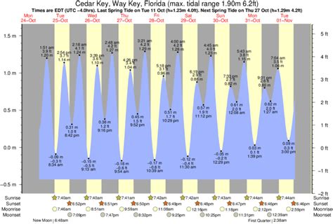 The predicted tides today for Cedar Key (FL) are: first high tide at 12:47am , first low tide at 6:38am ; second high tide at 12:38pm , second low tide at 7:10pm 7 day Cedar Key tide chart *These tide schedules are estimates based on the most relevant accurate location (Cedar Key, Gulf Of Mexico, Florida), this is not necessarily the closest ...