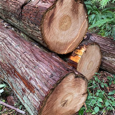 Cedar logs for sale near me. Things To Know About Cedar logs for sale near me. 