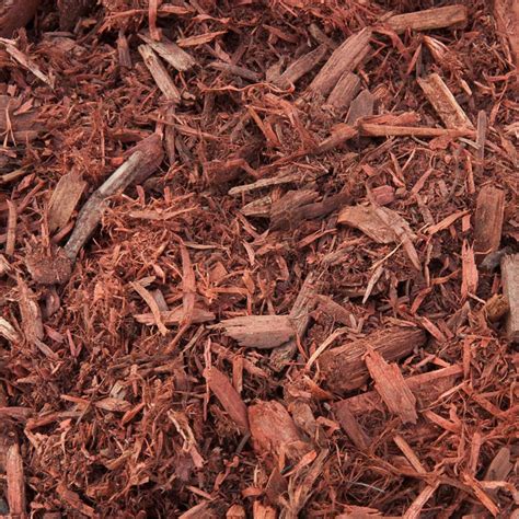 Cedar mulch home depot. This red wood mulch helps beautify landscapes while deterring weeds by blocking growth and access to sunlight when applied at a 3 in. depth. For best results, keep mulch dry for 24-hours after application and turn or rake the top 1 in. of mulch every 3-months to 4-months. Use the mulch around trees, shrubs, flowers, and vegetables. 