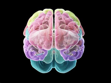 Cedars Sinai Creates Computer Models of Brain Cells