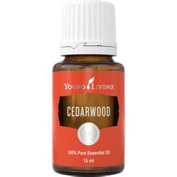 Cedarwood (Cederhout) Young Living Essential Oils