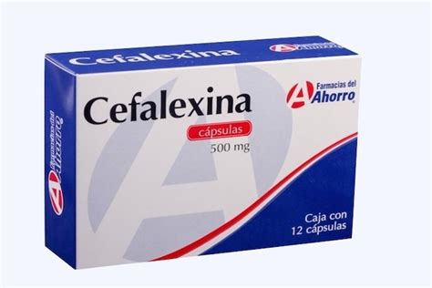 Cefalexina para que sirve. Things To Know About Cefalexina para que sirve. 