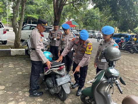 Inilah manfaat ajinomoto buat tanaman mangga agar cepat